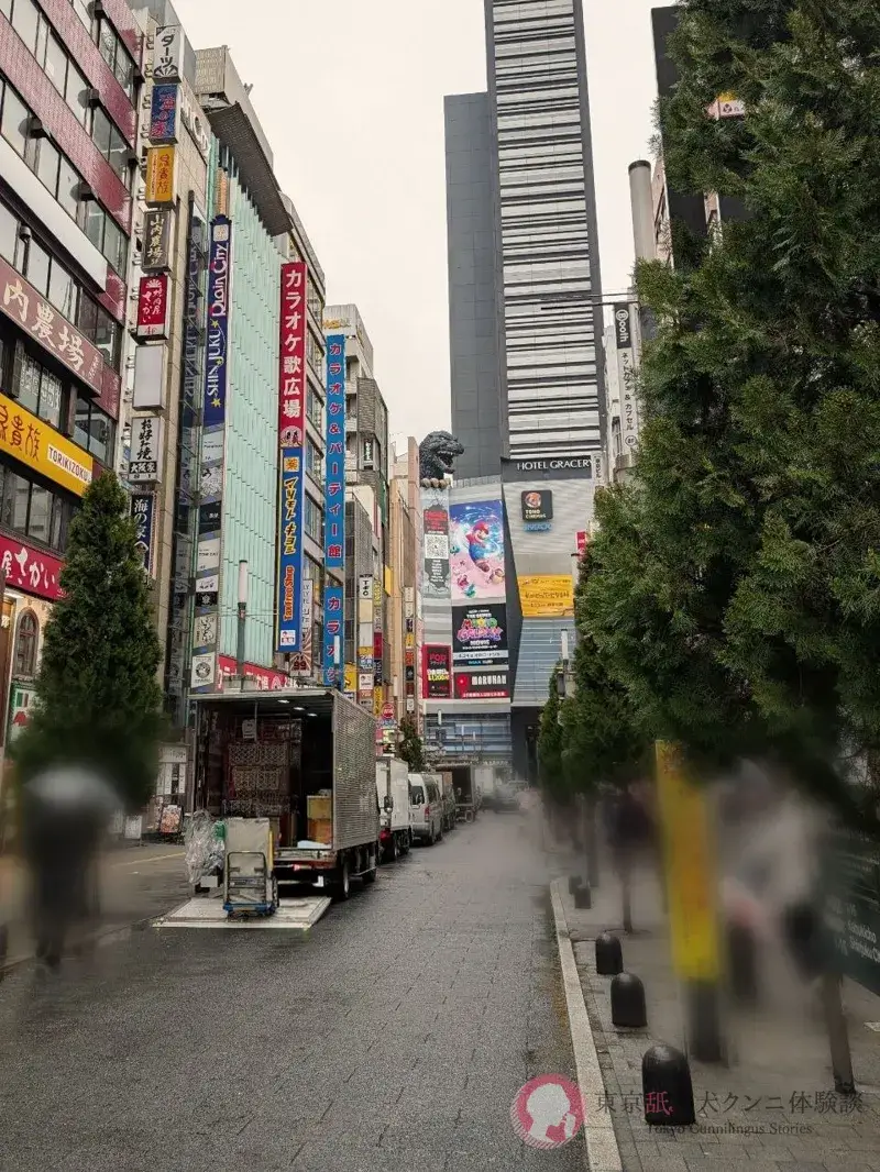 雨の新宿歌舞伎町ゴジラロード