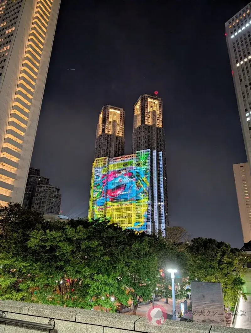 夜の東京都庁のプロジェクションマッピング